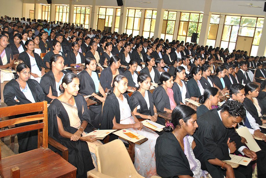 தம்மா பல்கலைக்கழக உயர்நிலை டிப்ளமோ படிப்பு